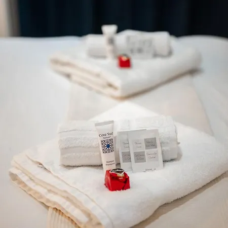 Le Riva - Hyper Centre - Parking - Wifi דירה