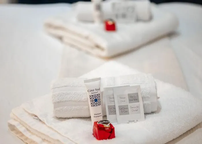 Le Riva - Studio Hyper Centre - Parking - Wifi Apartamento